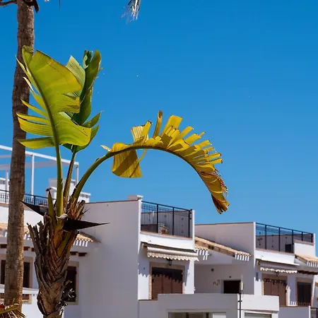 Pura Vida By Perfectly Semesterbostad *