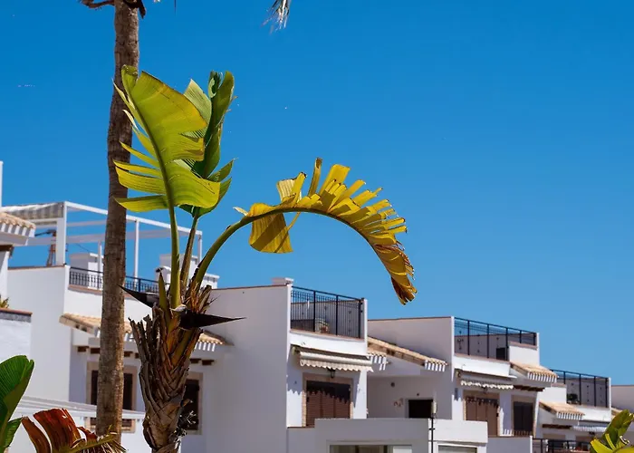 Pura Vida By Perfectly Vakantiehuis *